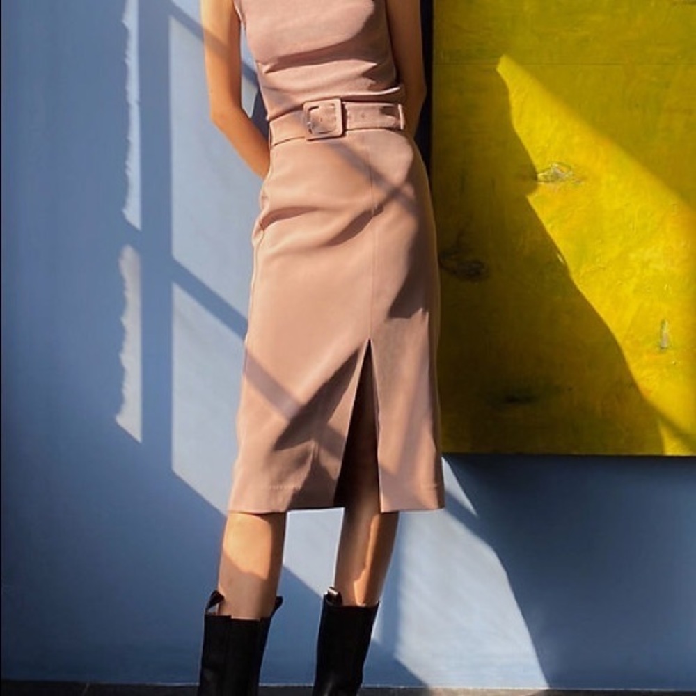 Aritzia NWT Bramble Pencil Skirt in Dusty Mauve